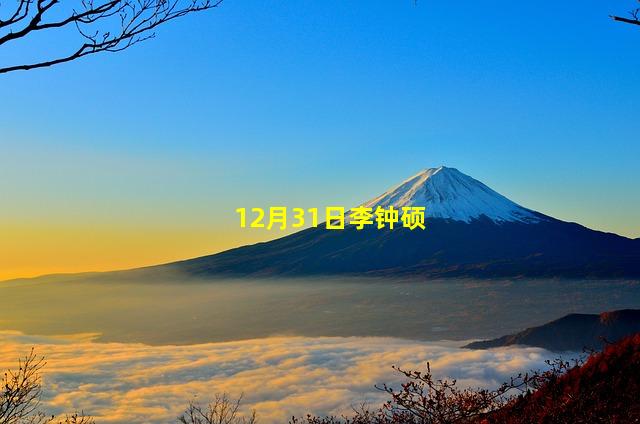 12月31日李钟硕