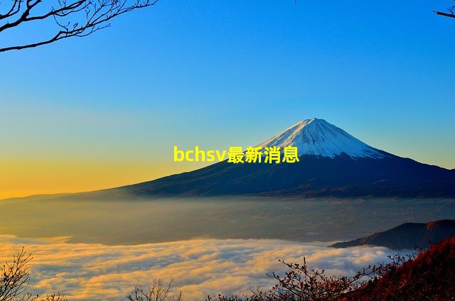 bchsv最新消息