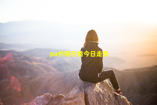 pa价格行情今日走势