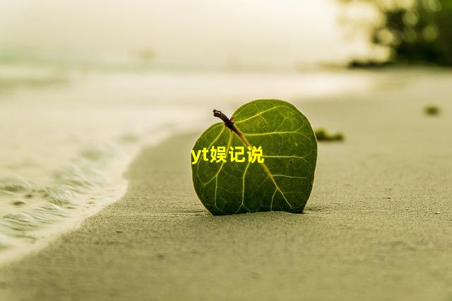 yt娱记说