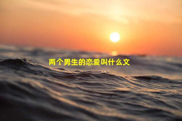 两个男生的恋爱叫什么文