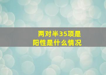 两对半35项是阳性是什么情况