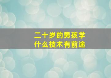 二十岁的男孩学什么技术有前途