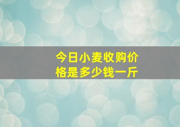 今日小麦收购价格是多少钱一斤