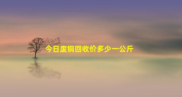 今日废铜回收价多少一公斤