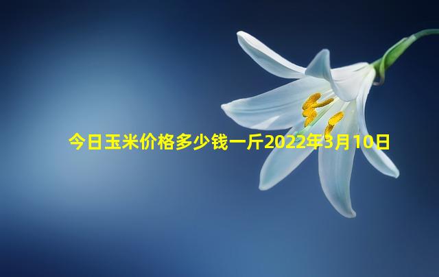 今日玉米价格多少钱一斤2022年3月10日