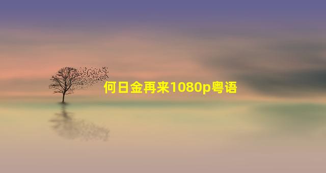 何日金再来1080p粤语