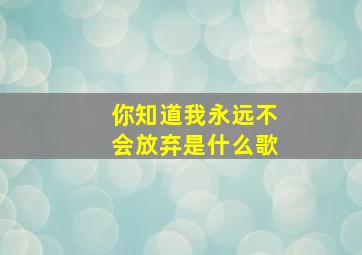 你知道我永远不会放弃是什么歌