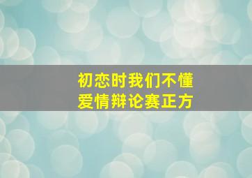 初恋时我们不懂爱情辩论赛正方