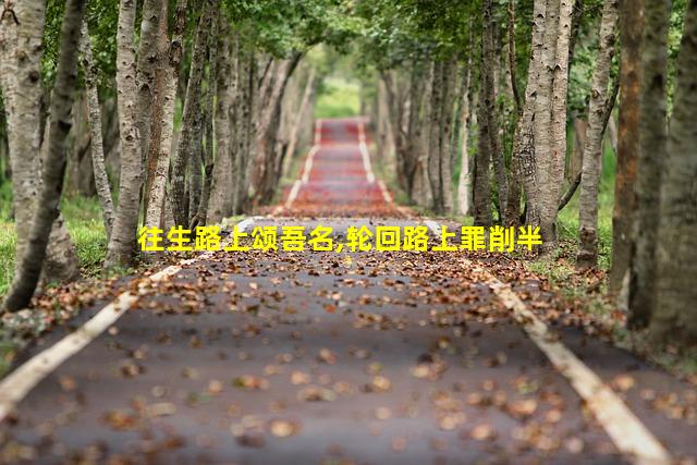 往生路上颂吾名,轮回路上罪削半