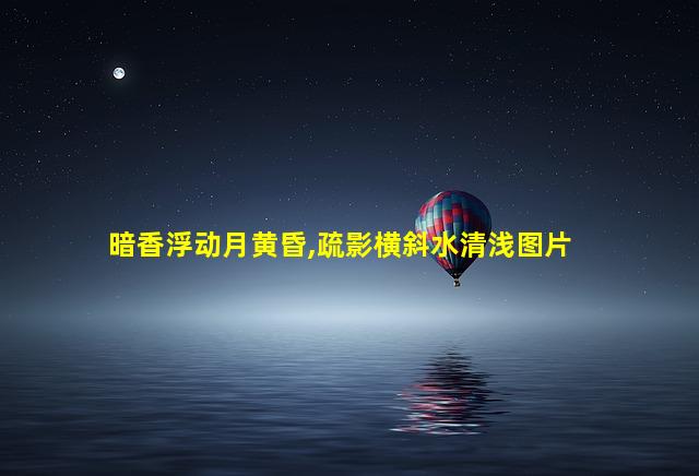 暗香浮动月黄昏,疏影横斜水清浅图片