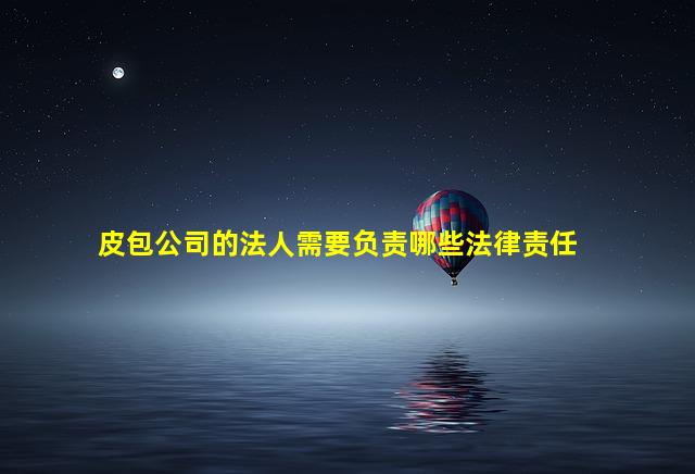 皮包公司的法人需要负责哪些法律责任