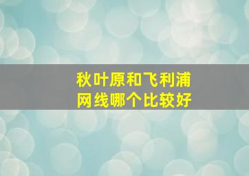 秋叶原和飞利浦网线哪个比较好