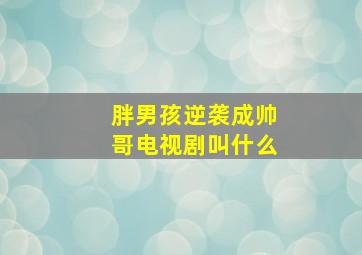 胖男孩逆袭成帅哥电视剧叫什么