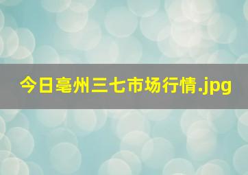 今日亳州三七市场行情