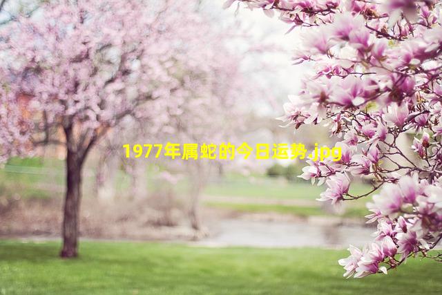 1977年属蛇的今日运势