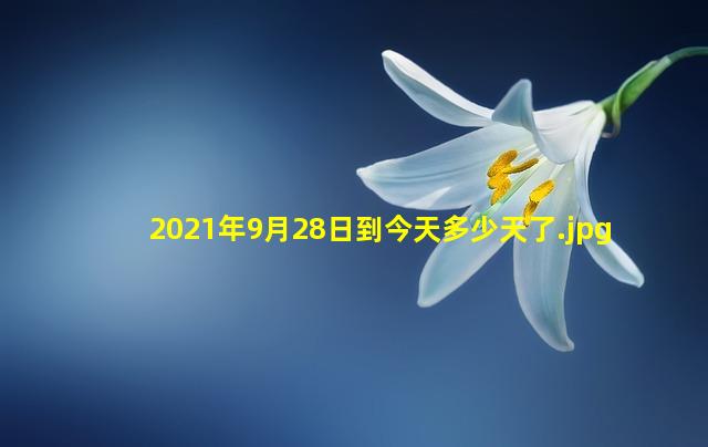 2021年9月28日到今天多少天了